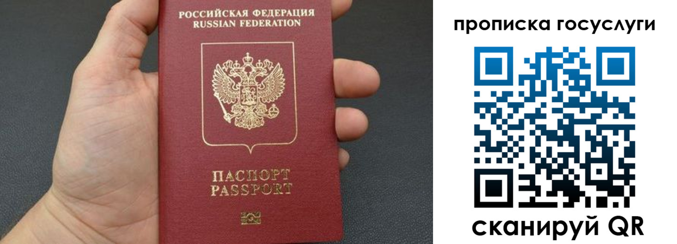 купить прописку в Камешково